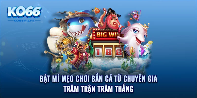 Bật mí mẹo chơi bắn cá từ chuyên gia trăm trận trăm thắng