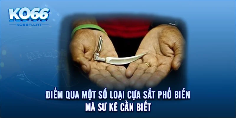 Điểm qua một số loại cựa sắt phổ biến mà sư kê cần biết