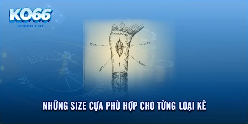 Những size cựa phù hợp cho từng loại kê 