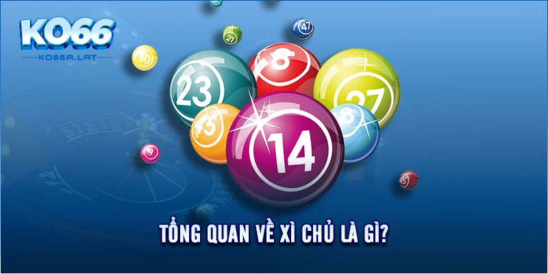 Tổng quan về xì chủ là gì