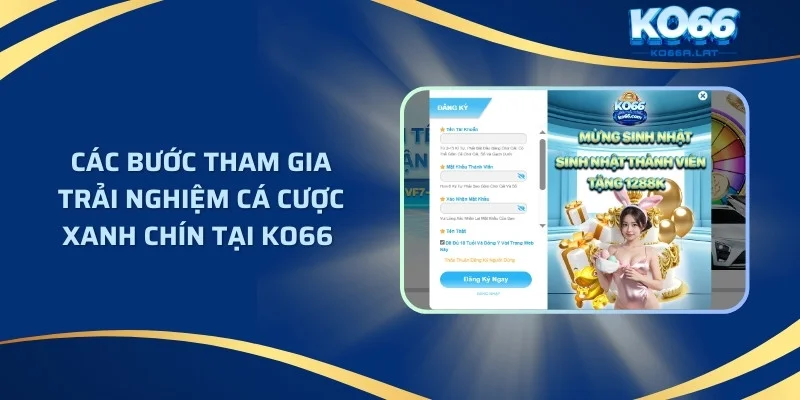 Các bước tham gia trải nghiệm cá cược xanh chín tại KO66 