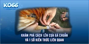 Khám Phá Cách Lên Cựa Gà Chuẩn Và 1 Số Kiến Thức Liên Quan